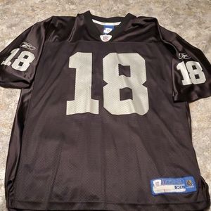 Randy Moss Raiders Jersey
